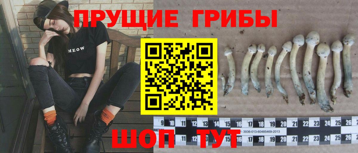 Галлюциногенные грибы ЛСД Тара